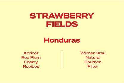 Wide Awake Strawberry Fields - Honduras - Filter 250g