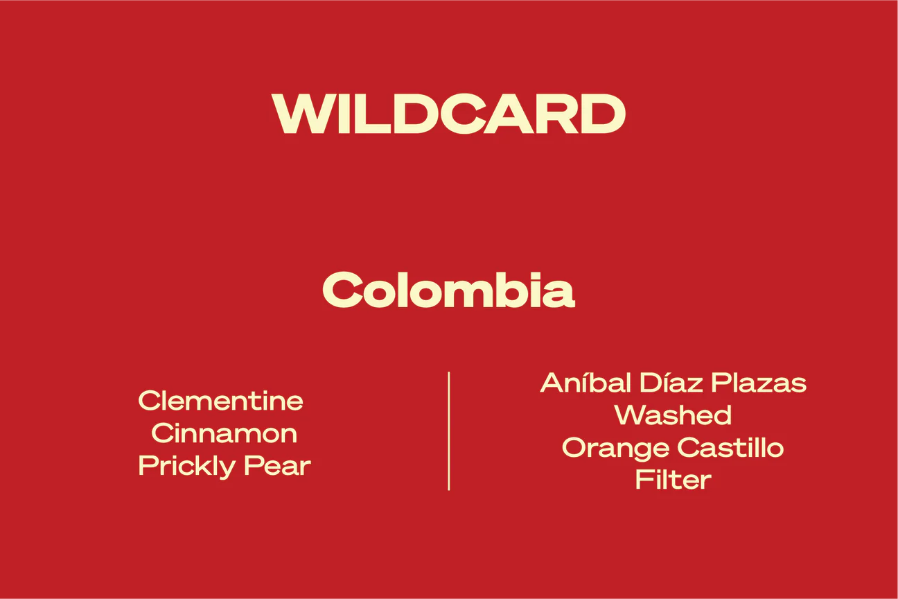 Wide Awake Wildcard - Colombia - Filter 125g