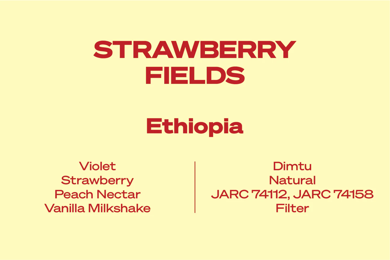 Wide Awake Strawberry Fields - Ethiopia - Filter 250g