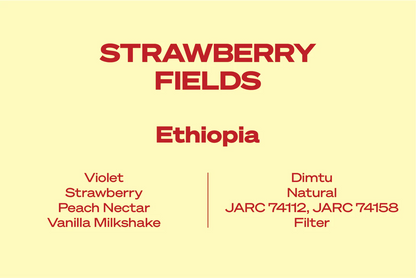 Wide Awake Strawberry Fields - Ethiopia - Filter 250g